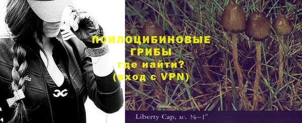 мдпв Заволжье